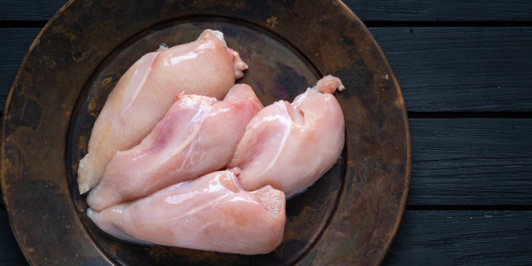 Cat Recipe – Chicken Breast & Oysters