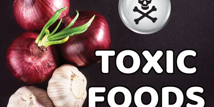 Toxic Foods For Dogs